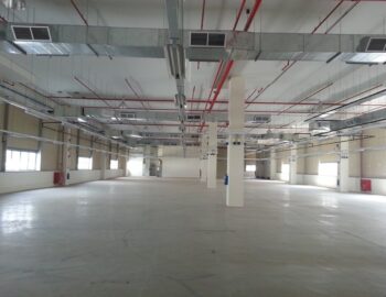 Changi Warehouse for rent 10 Changi south Street 2