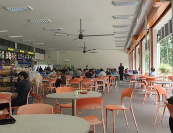 Woodlands spectrum